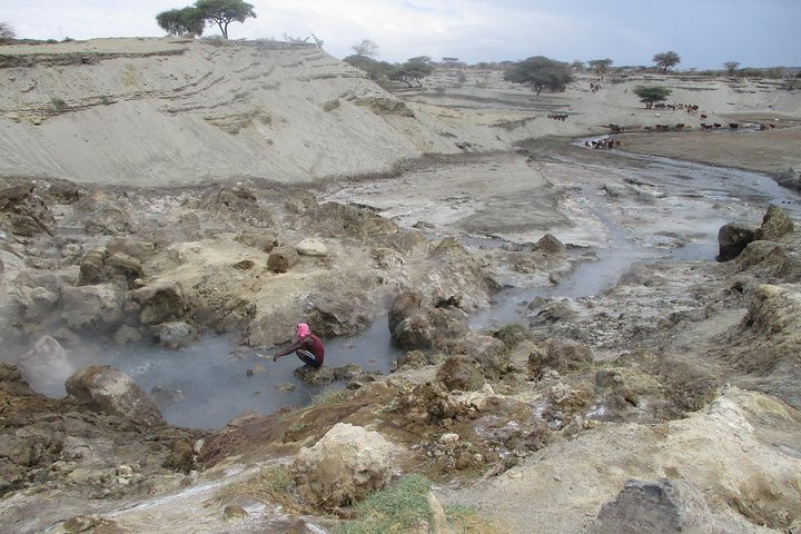 Natural hot springs at Abidjatta Shalla National Park