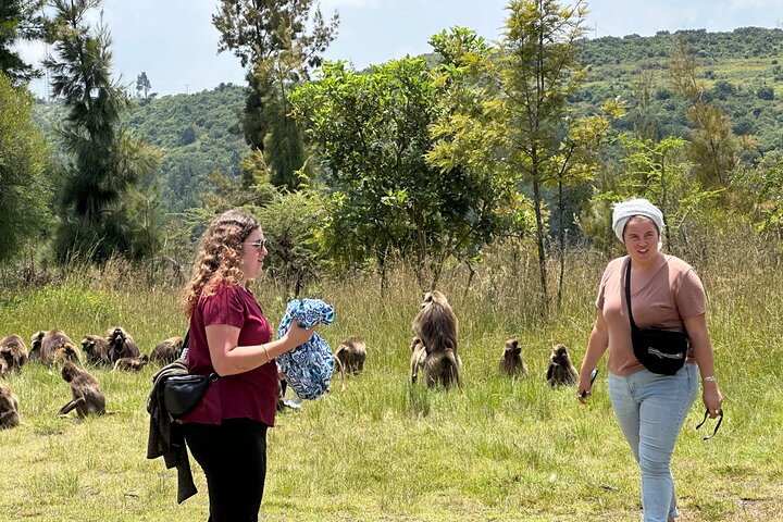 Debre Libanos, Portuguese Bridge & Gelada Baboons Day Tour - Photo 1 of 25