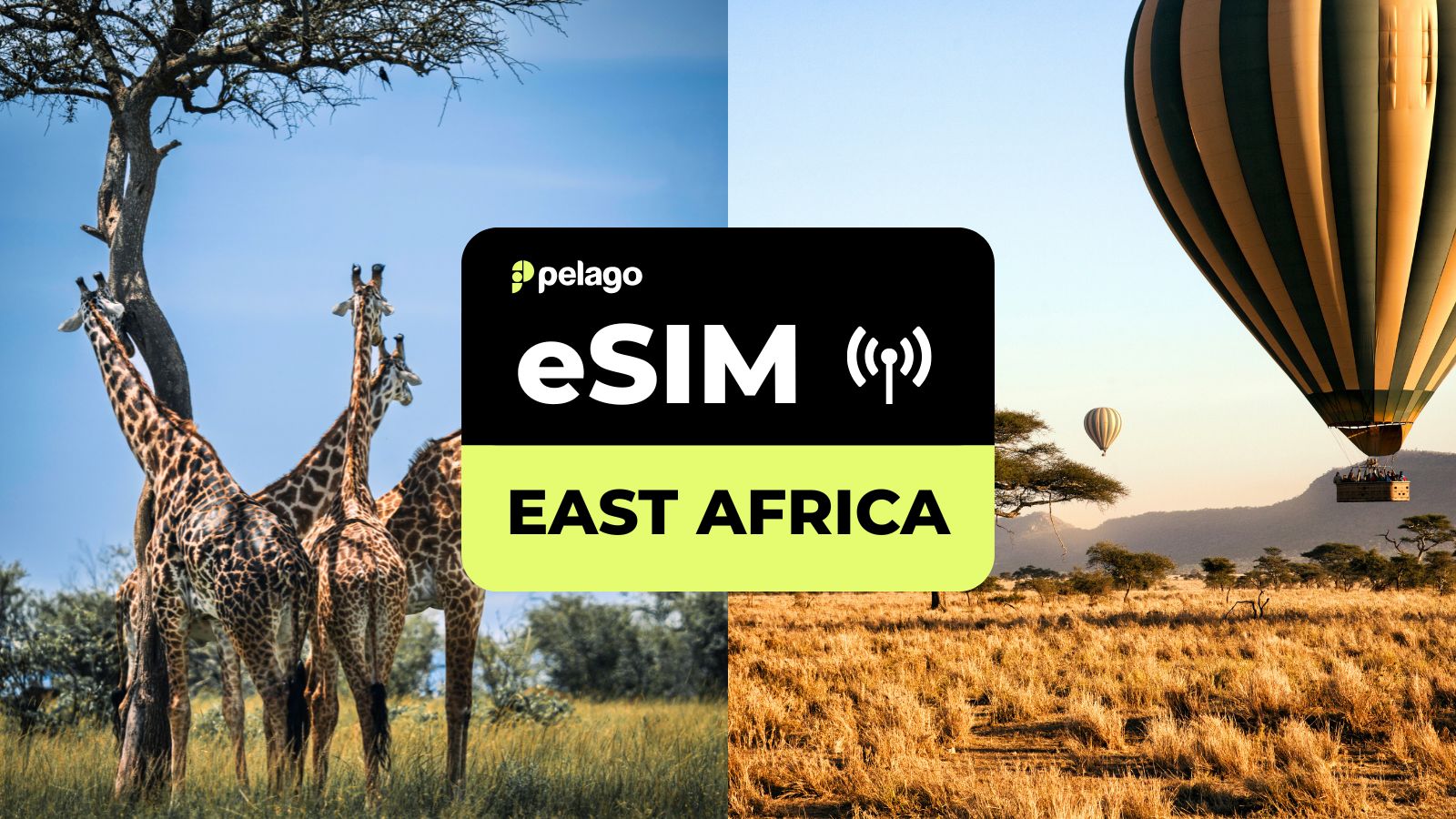 East Africa (SP) eSIM by Pelago - Photo 1 of 4