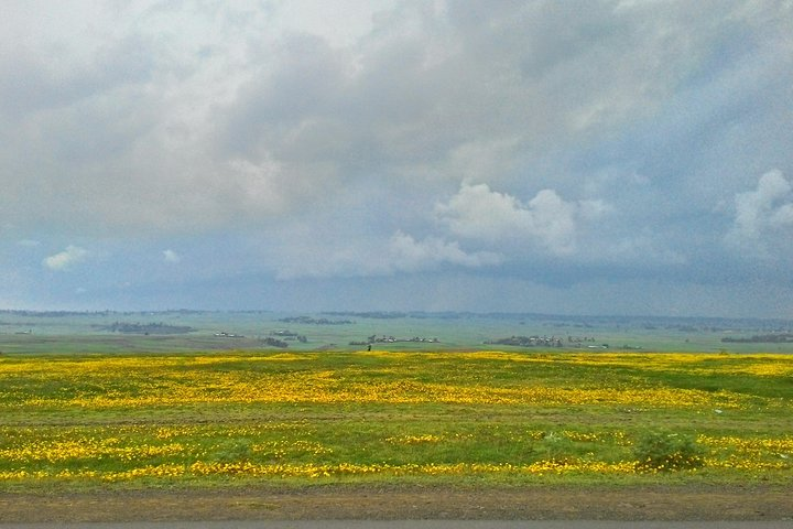 View along the road to Lake Ziway in September - [Day Tours from Addis Ababa to Rift Valley of southern Ethiopia]
