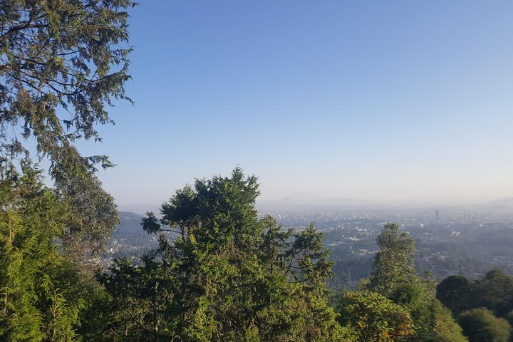 View of Addis Ababa from Entoto Mountain