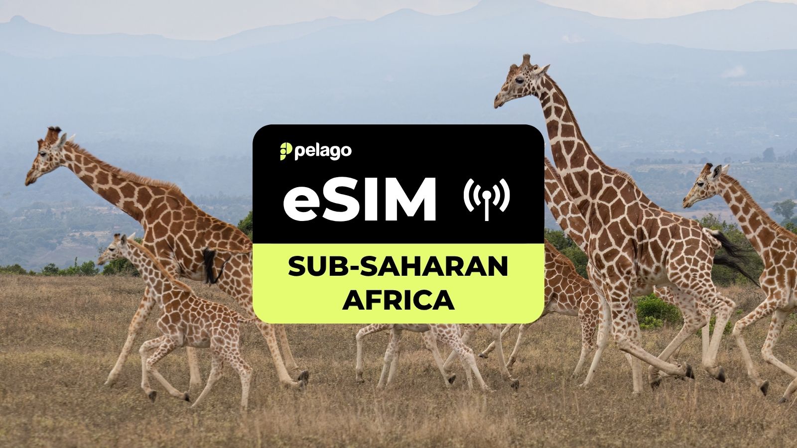 Sub-Saharan Africa (SP) eSIM by Pelago - Photo 1 of 4
