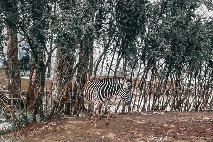 Unity Park Half Day Tour in Ethiopia  - Photo 1 of 11