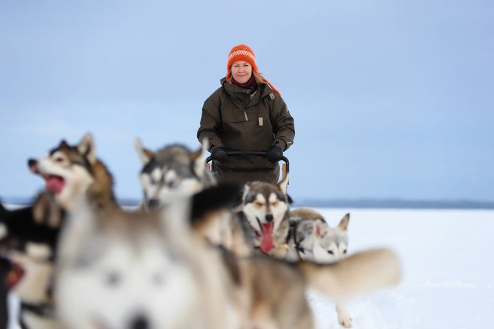 5KM Husky Sled Ride from Levi - Photo 1 of 7