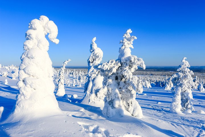 Magical Frozen Forests of Riisitunturi with Photography & BBQ - Photo 1 of 9