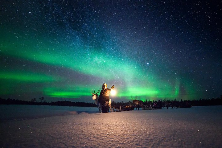 Experience the magic of the Northern Lights from a reindeer sleigh surrounded by serene landscapes and the gentle presence of reindeer as stories of folklore unfold beneath a starlit sky.