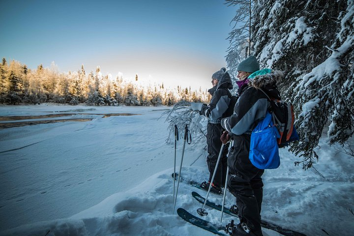 Experience the serene beauty of Rovaniemi’s Arctic wilderness while cross-country skiing. Discover pristine snow-covered landscapes and capture the essence of Lapland’s nature in every moment.