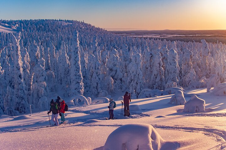 Experience the serene beauty of Pyha-Luosto National Park on snowshoes traversing snowy landscapes to uncover the magic of the amethyst mine followed by a cozy lunch around the fire.