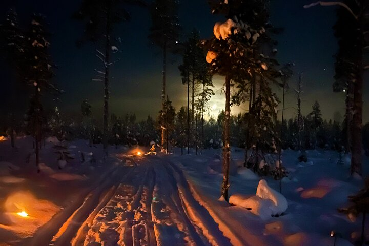 Experience the magic of moonlight riding through a serene snowy forest where every shadow holds a story and unexpected encounters with wildlife create unforgettable memories by the campfire.