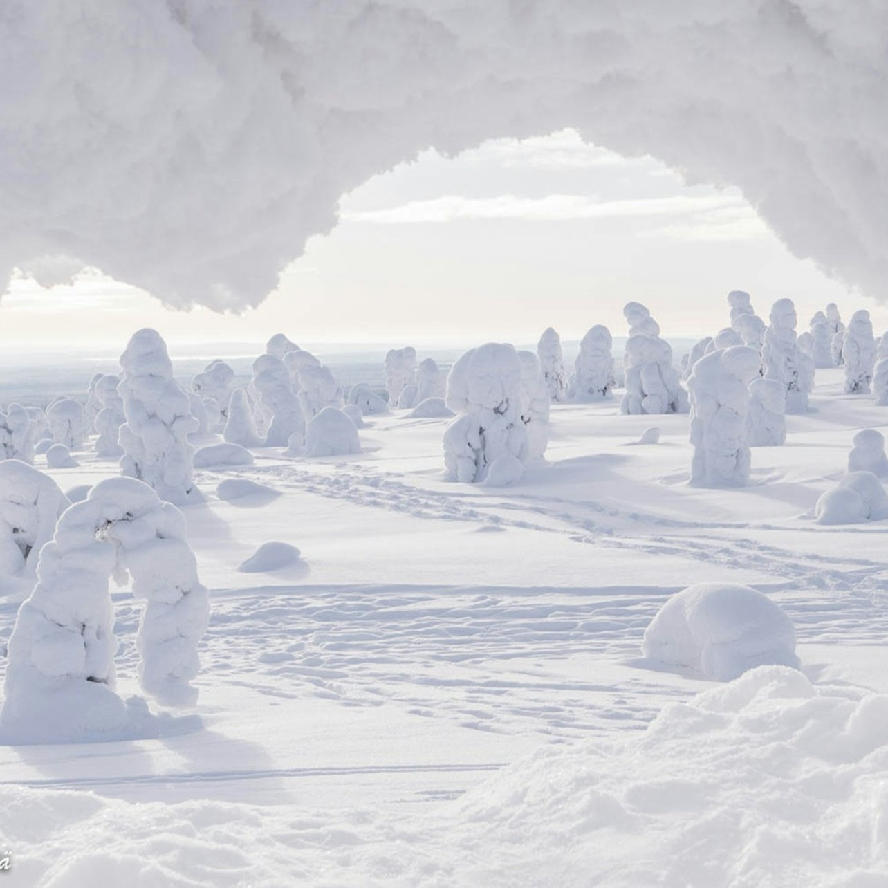 Hike in Riisitunturi National Park - Photo 1 of 3