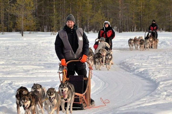 Husky Safari from Levi 2 KM or 5 KM with Husky Sledge Ride - Photo 1 of 11