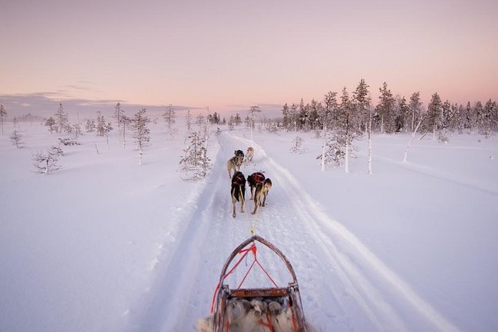 Experience the excitement of husky sledding through pristine snow followed by a peaceful ice fishing adventure on a stunning frozen lake. Embrace the beauty of Rovaniemi’s winter wonderland.