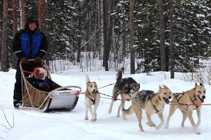 Lapland Reindeer and Husky Safari from Levi - Photo 1 of 11
