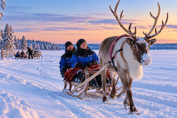 Levi Reindeer Safari - Long or Quick - with Sledge Ride - Photo 1 of 10