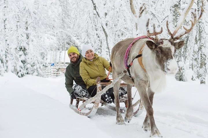 Levi Reindeer Safari - Long or Quick - with Sledge Ride - Photo 1 of 12
