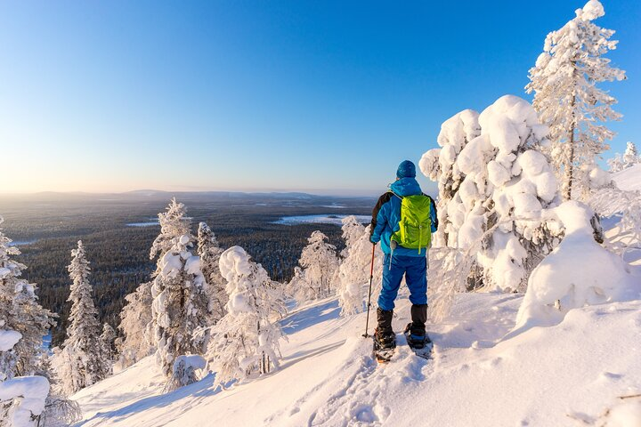 Snowshoeing through a picturesque winter wonderland surrounded by snow-laden trees and expansive views of Lapland offers a unique way to embrace the beauty of the season.