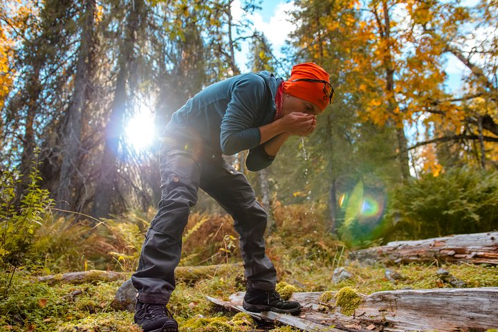 Magic of Nature - Birch bark cup making by a natural spring in Rovaniemi - Photo 1 of 6