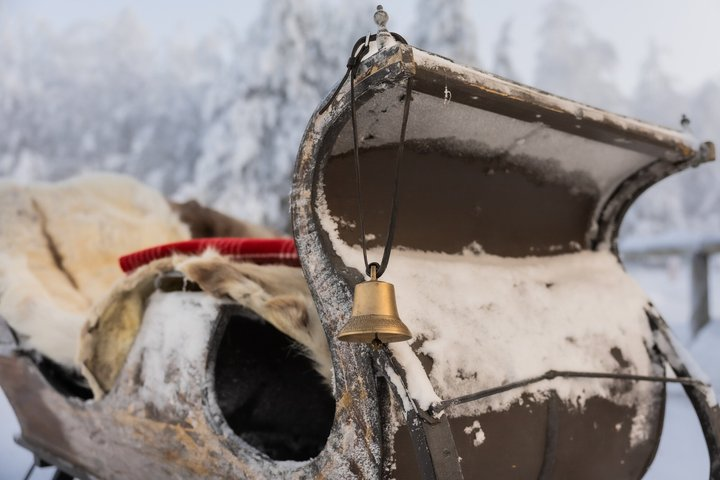 Magical Sleigh Ride with Finnhorses - Photo 1 of 9