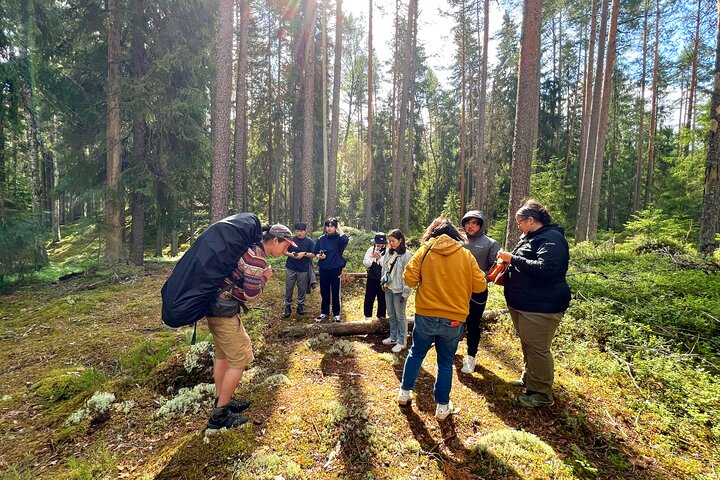 Mushroom Hunting in a National Park - Photo 1 of 14