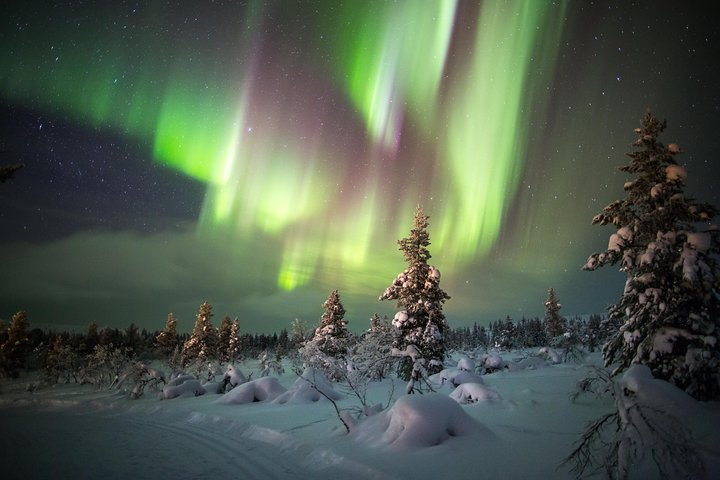 Experience the magic of the Northern Lights while zooming through the pristine Lappish wilderness on snowmobiles surrounded by stunning snowy landscapes and the mesmerizing dance of the aurora above.