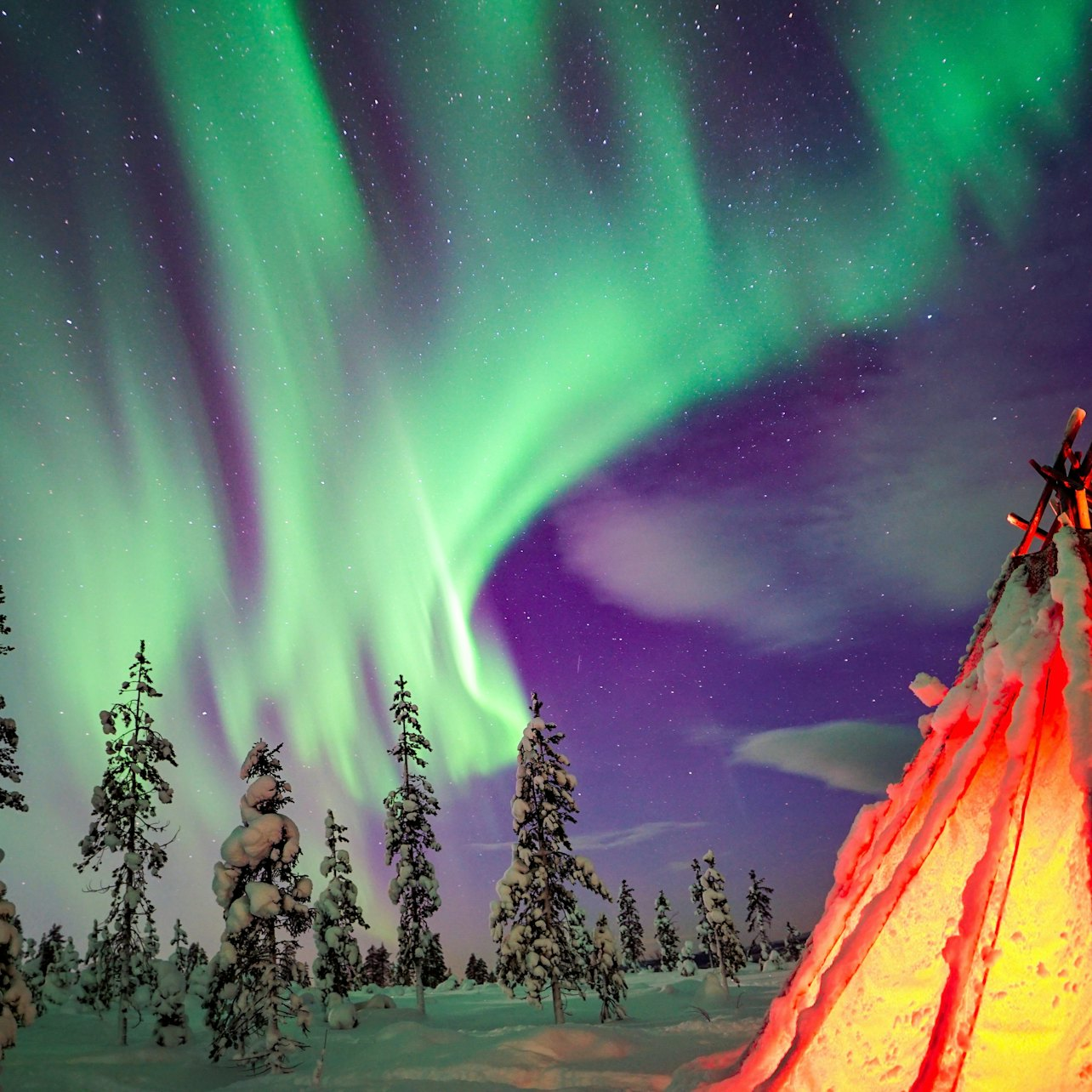 Northern Lights Rovaniemi: Wilderness Tour + Professional Camera - Photo 1 of 8