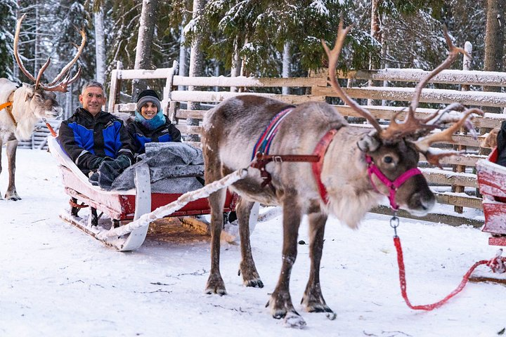 Reindeer Farm Visit with Reindeer Safari - Rovaniemi - Photo 1 of 10