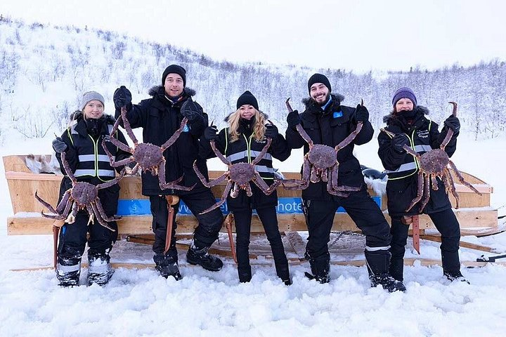 King Crab Experience to Norway from Saariselkä - Photo 1 of 5