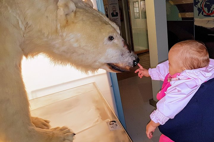 Rovaniemi walking tour and guided Arktikum experience - Photo 1 of 4