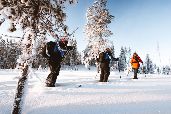Ski Trekking Safari Tour in Lapland - Photo 1 of 9