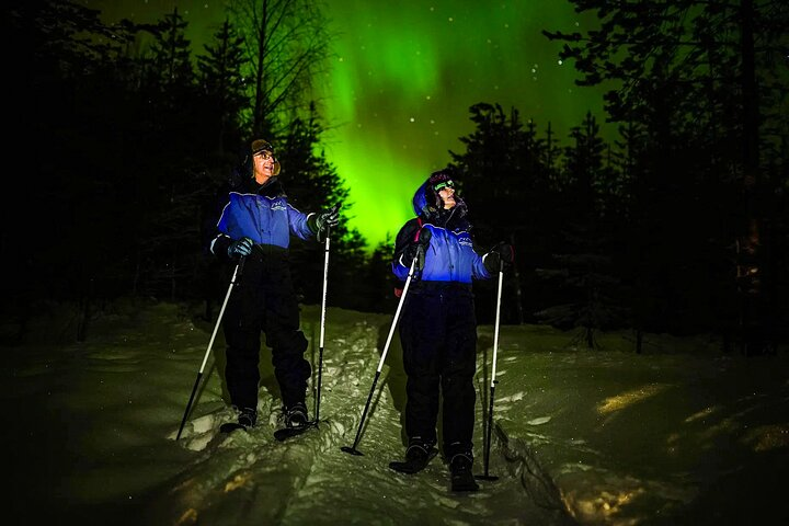 Experience the serene beauty of Lapland as you glide through untouched snow beneath the dancing lights creating unforgettable memories in a small group surrounded by nature's wonders.