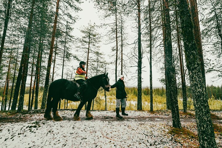 Small-Group Arctic Circle Horse Riding from Rovaniemi  - Photo 1 of 10