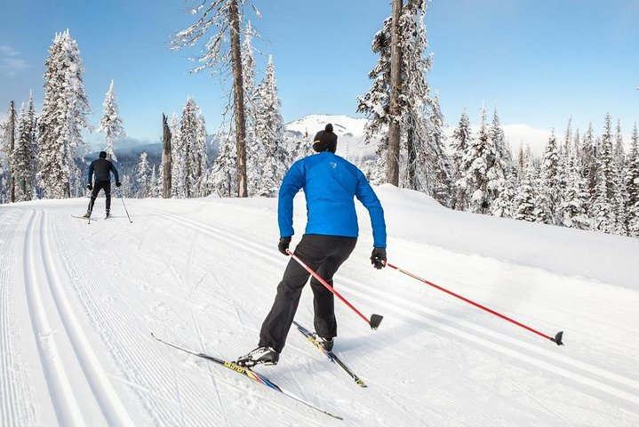 Small-Group Lapland Cross Country Ski - Photo 1 of 6