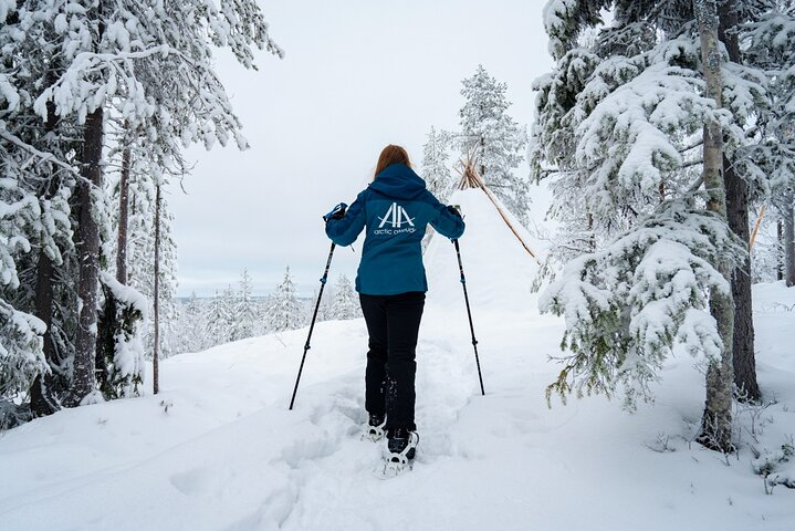 Snowshoeing in Snowy Forest with Local Guide - Photo 1 of 9