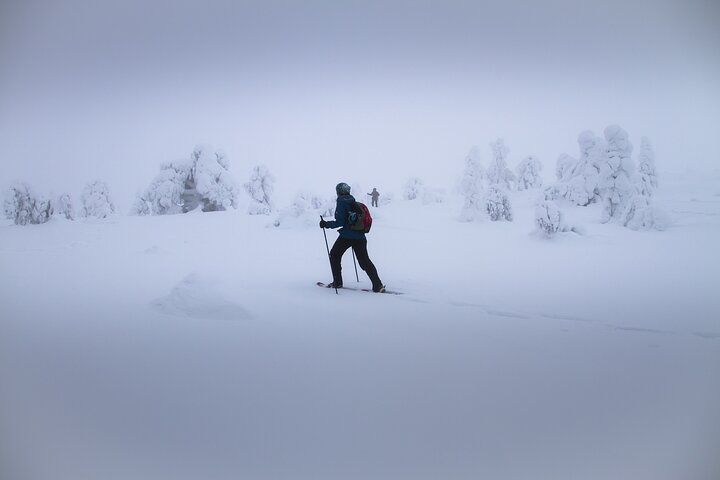 SNOWSHOEING The white walk - Photo 1 of 3