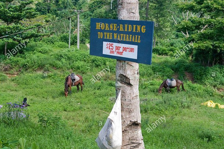 Biausevu Waterfall with New Dawn Tours Fiji - Photo 1 of 2