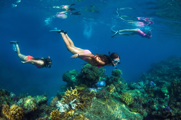 Snorkeling