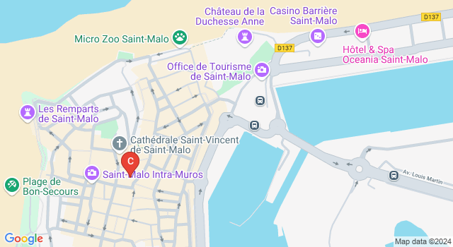 One hour boat trip with a local (Commented FR & EN) in Rennes | Pelago