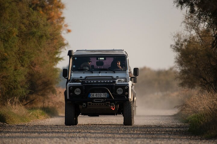 4x4 Camargue Safari 4h - Departure from Arles - Photo 1 of 14