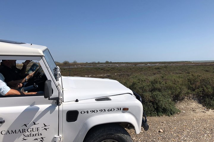 4x4 Camargue Safari 4h - Private Tour - Departure from Arles - Photo 1 of 13