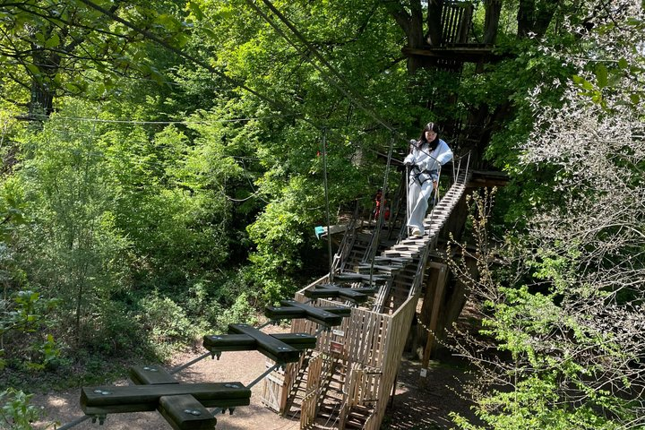 Tree-top adventure at Saint-Germain-en-Laye - Photo 1 of 9