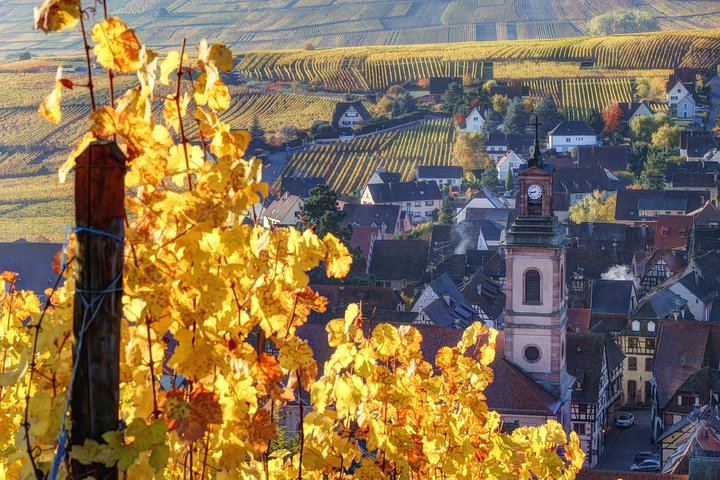 Alsace wine route