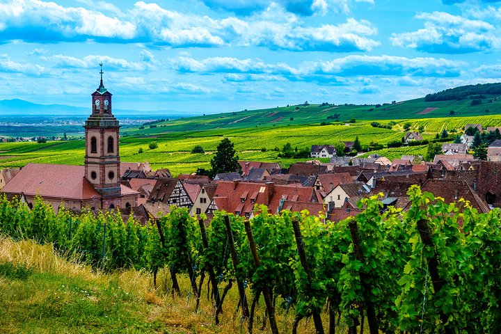 Alsace wine route