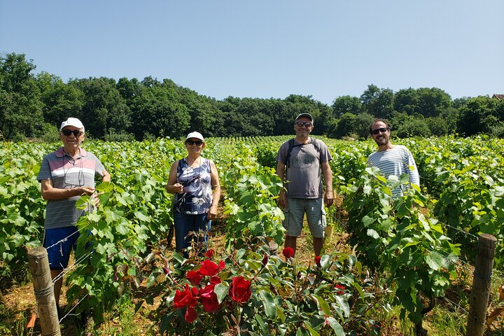 Private tour in Burgundy with your professional guide! - Photo 1 of 25