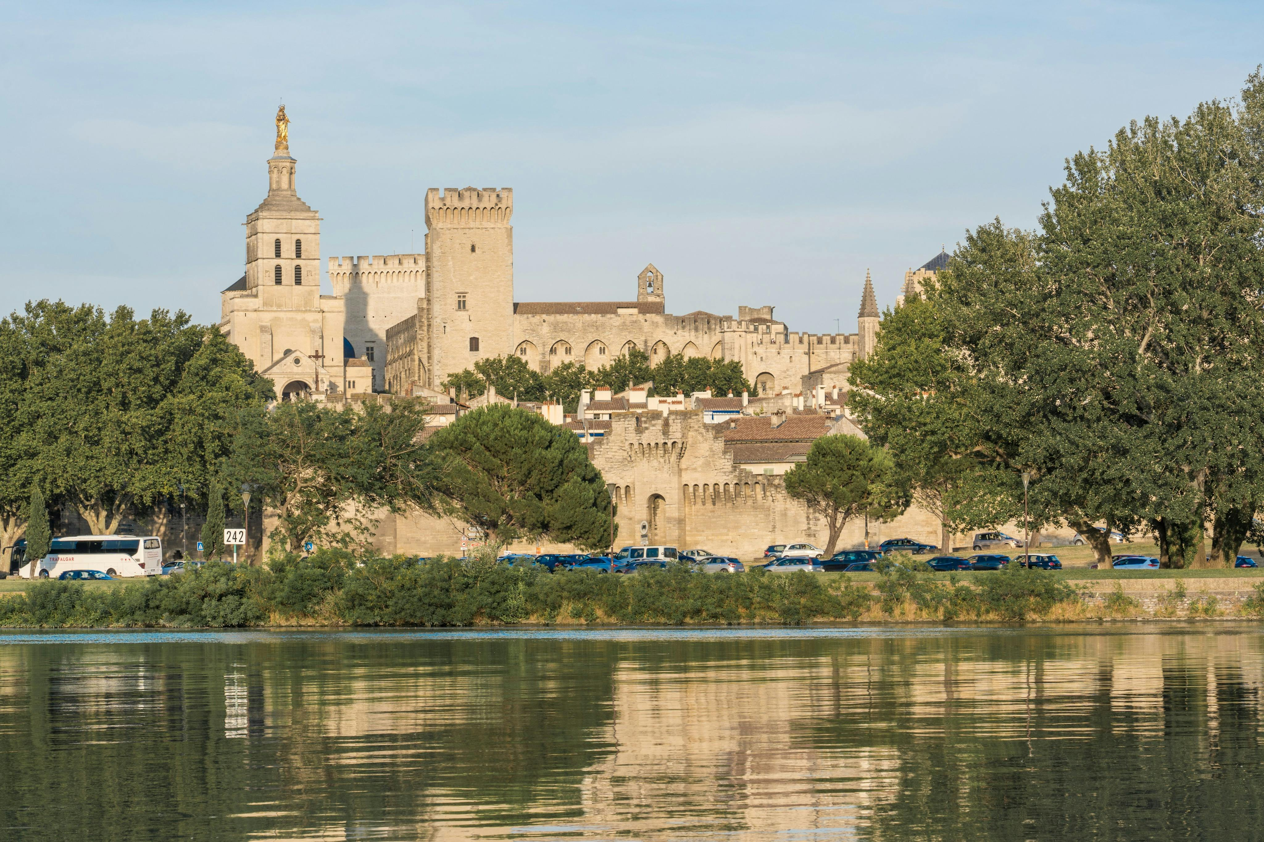 Avignon & Popes Palace: Guided Walking Tour - Photo 1 of 4