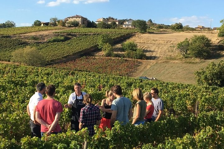 Beaujolais & Perouges Medieval Town - Private Tour - Full Day from Lyon - Photo 1 of 9