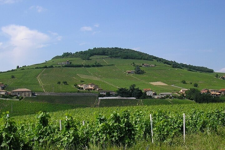 Beaujolais wine route, private tour from Lyon - Photo 1 of 4