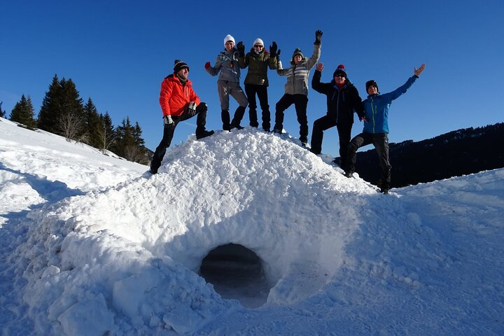  Building an igloo? A child's play! - Photo 1 of 7