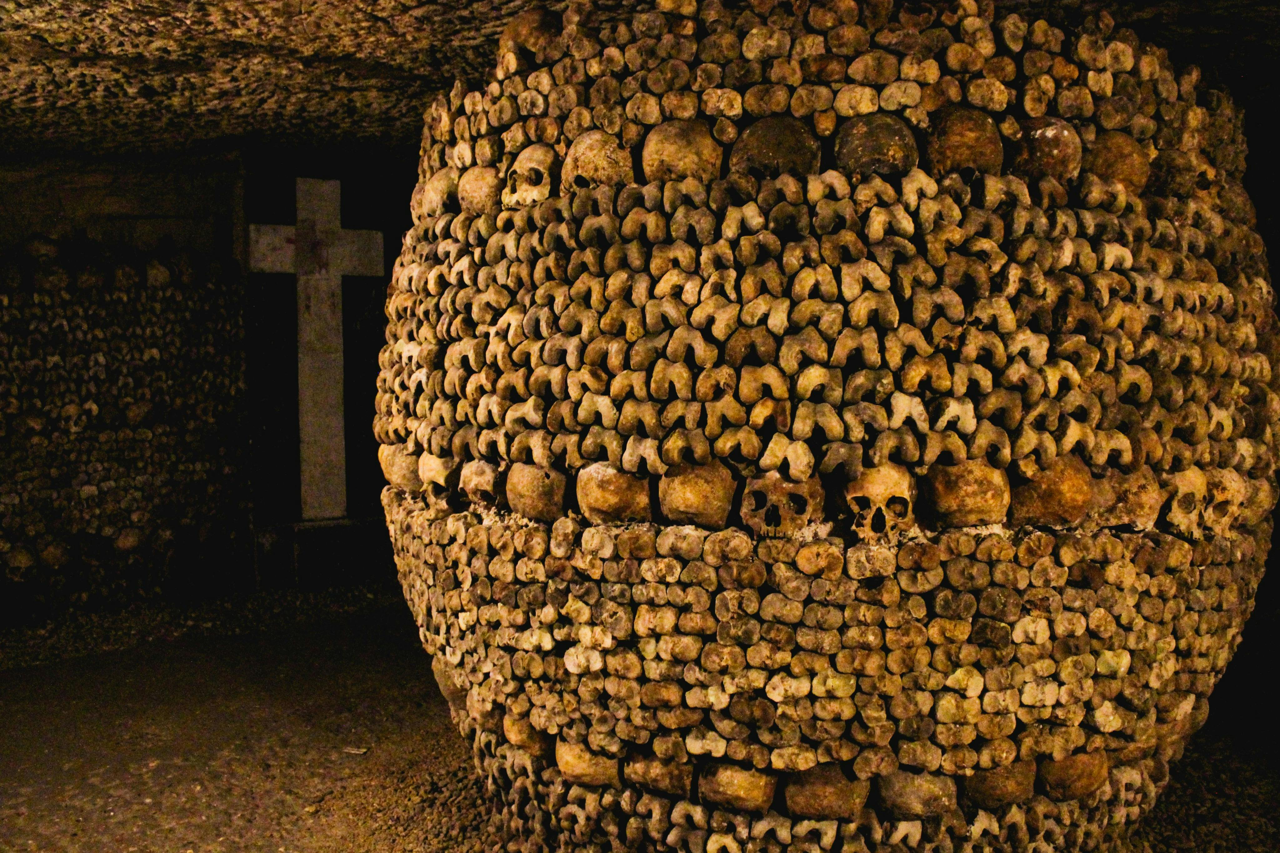 Catacombs of Paris: Entry Ticket + Seine River Cruise + Audio Guide - Photo 1 of 4