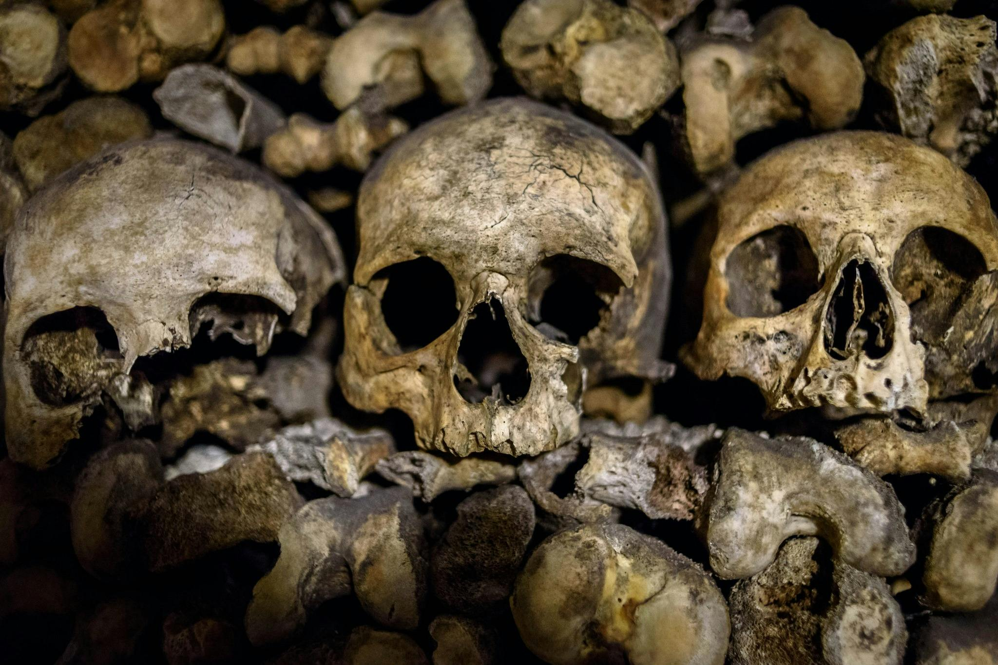Catacombs of Paris: Guided Tour in English - Photo 1 of 8