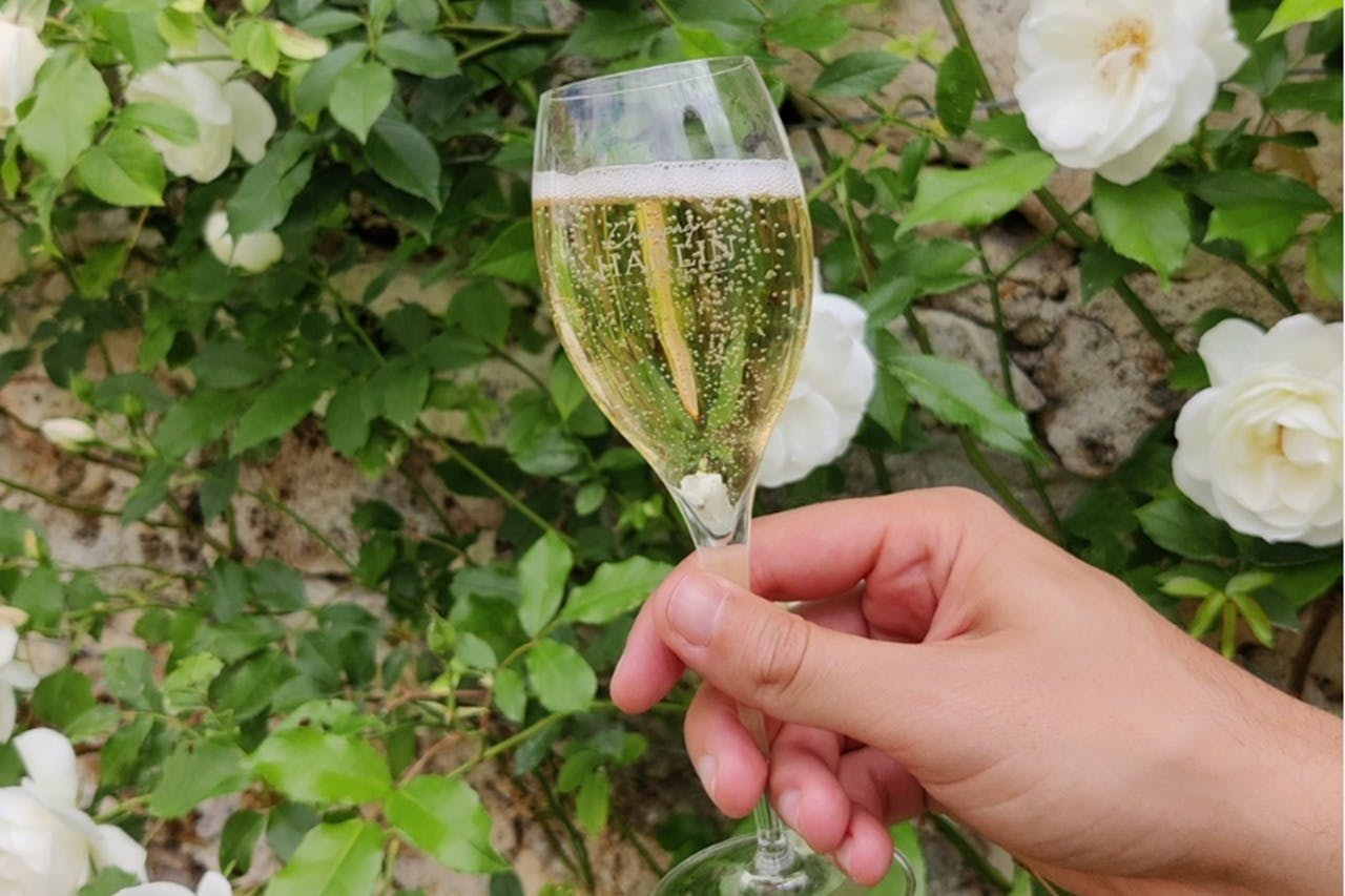 Champagne: Day Trip from Paris + 7 Tastings + Lunch - Photo 1 of 8